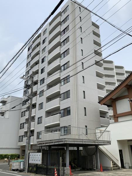コスモトゥデイ