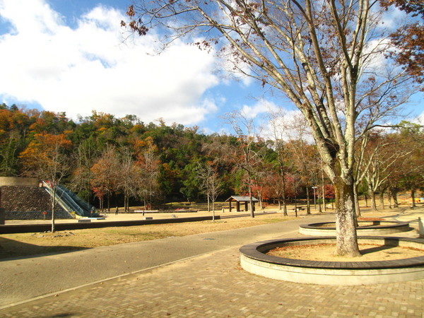 京都市左京区上高野大橋町の土地(宝が池公園子どもの楽園)