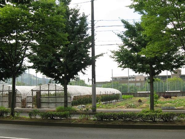 松ヶ崎パークホームズ