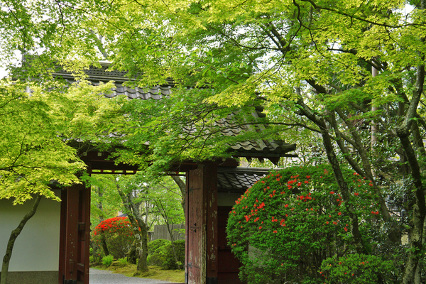 京都市北区大宮一ノ井町の土地(常照寺)