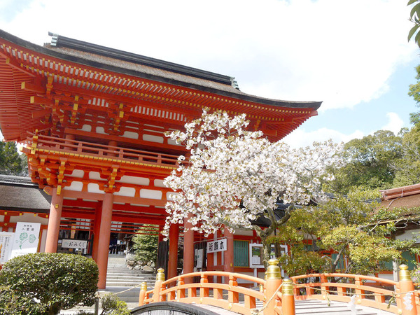 2号地(上賀茂神社)