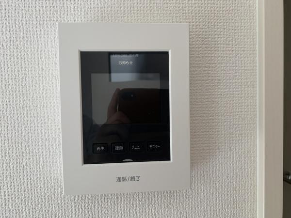 1号地