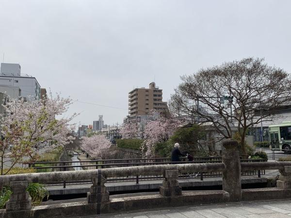 キャピタルコータス堀川