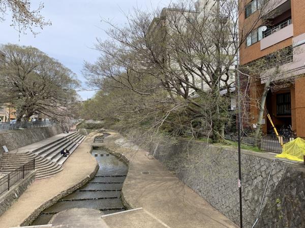 キャピタルコータス堀川