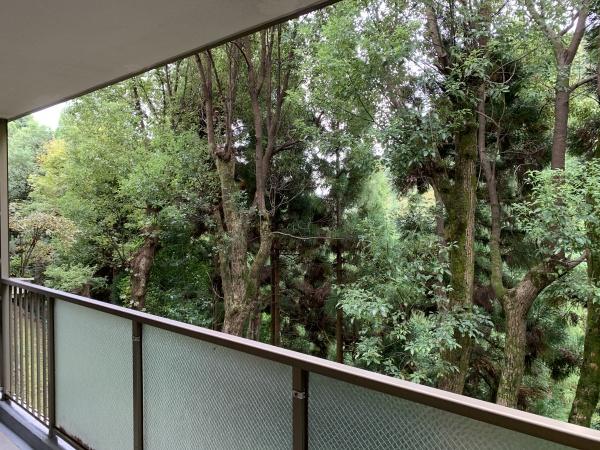 京都北山スカイハイツA棟(現地からの眺望)