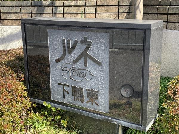 ルネ下鴨東
