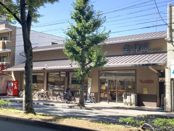 京都市左京区北白川伊織町の土地(生鮮館なかむら白川店)