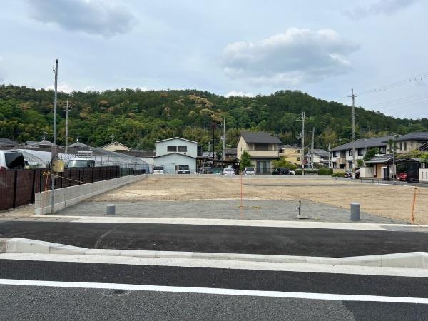 E号地