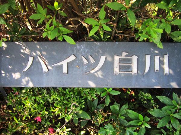 ハイツ白川