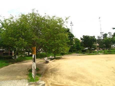 京都市上京区竹屋町通千本東入主税町の中古一戸建て(二条公園)