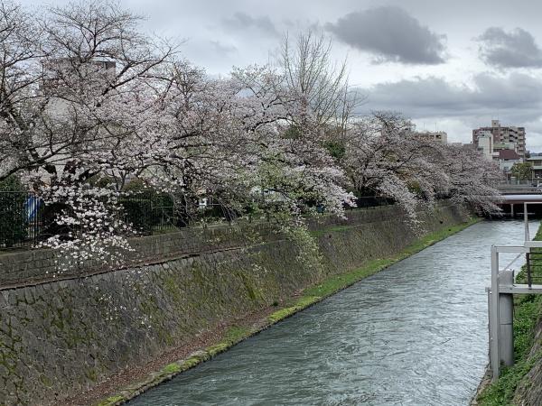 コープ鴨川Ｂ棟
