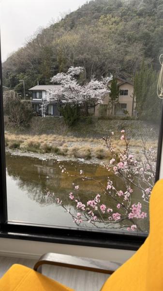 京都市左京区山端川岸町の中古一戸建て