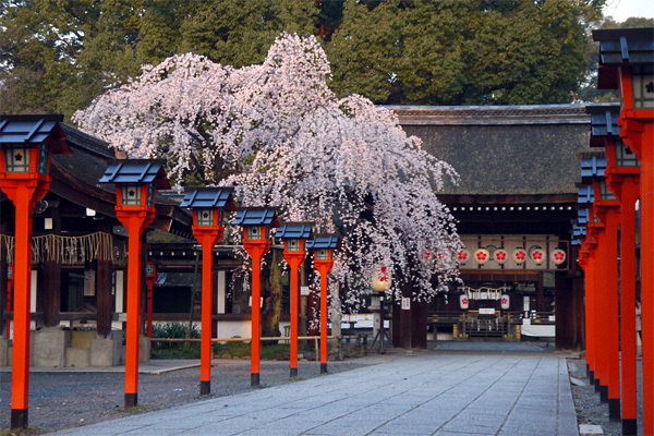 京都市北区衣笠氷室町の中古一戸建て(平野神社)