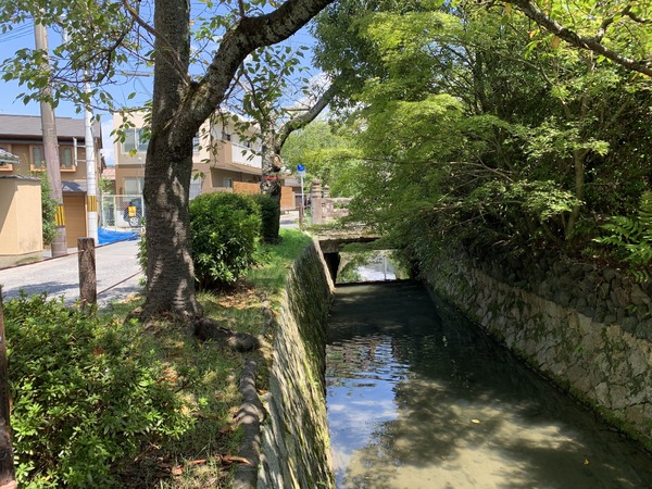 2号地(哲学の道)