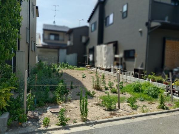 京都市上京区大宮通西裏今宮御旅所下る西若宮南半町の売土地