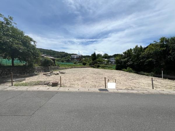3号地