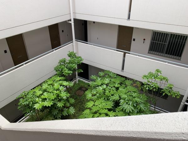 フレックス高野