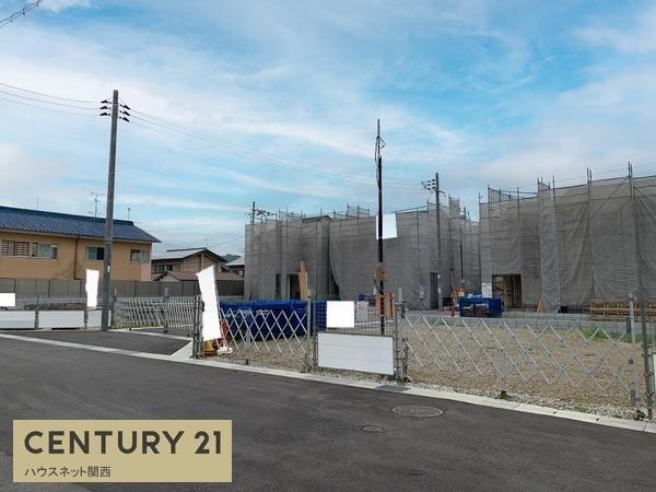 ３期６号地