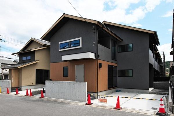 5号地
