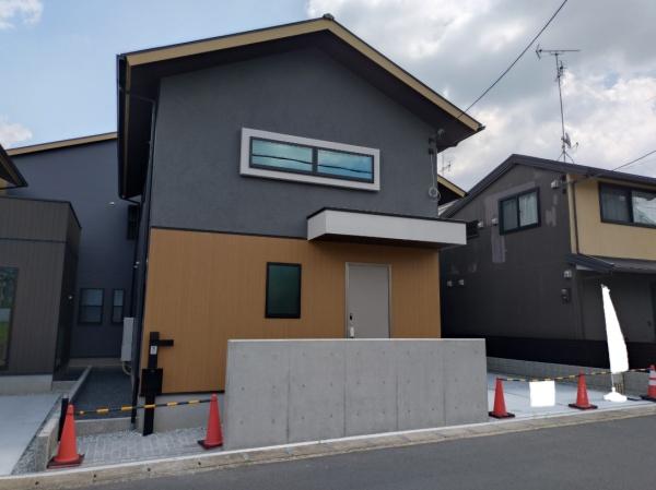 5号地
