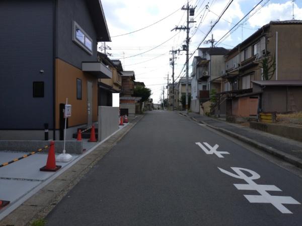 5号地