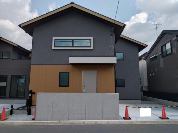 5号地