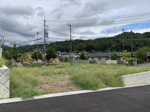 １期１号地