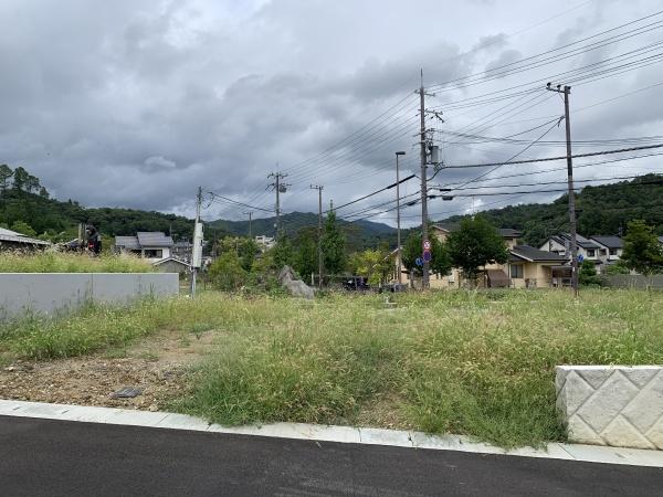 １期１号地