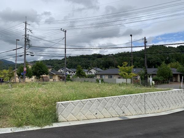 １期１号地