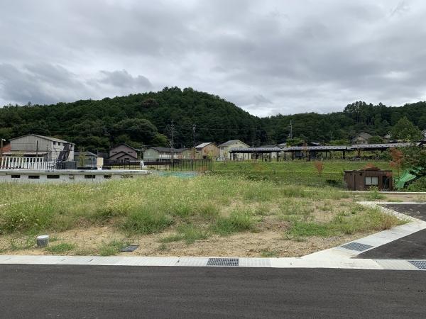 １期７号地