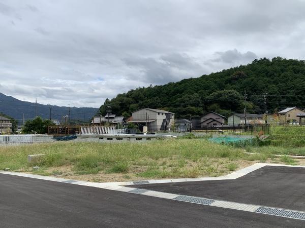 １期７号地