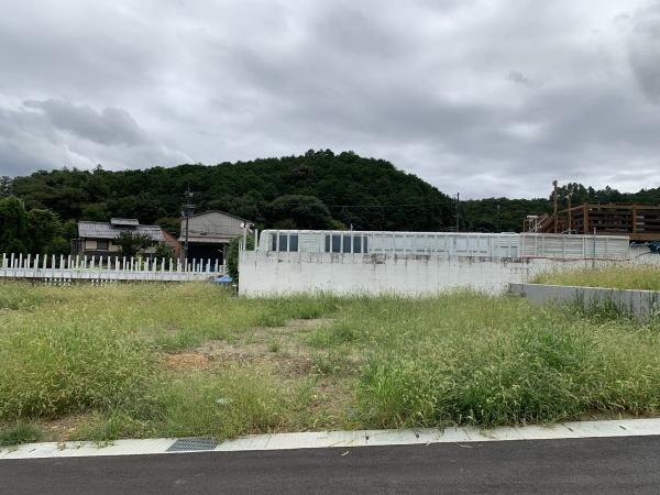 １期１０号地