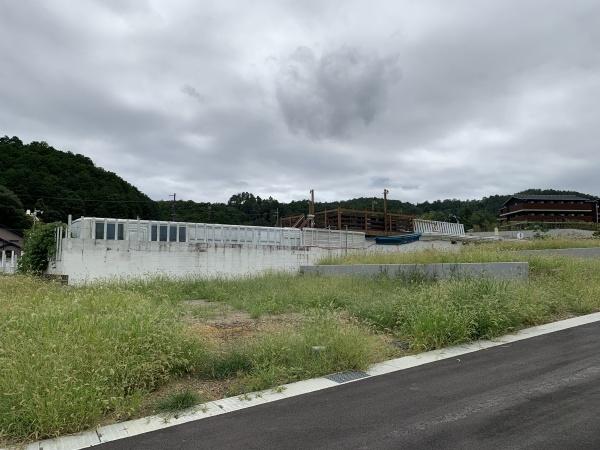１期１０号地
