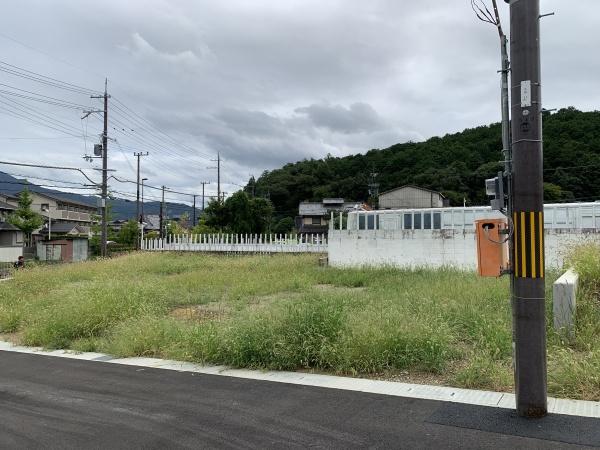 １期１０号地