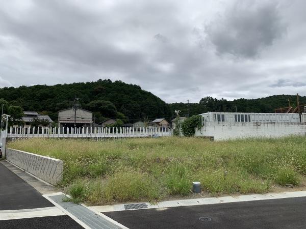１期１１号地
