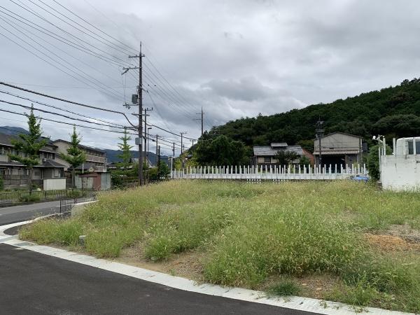 １期１１号地