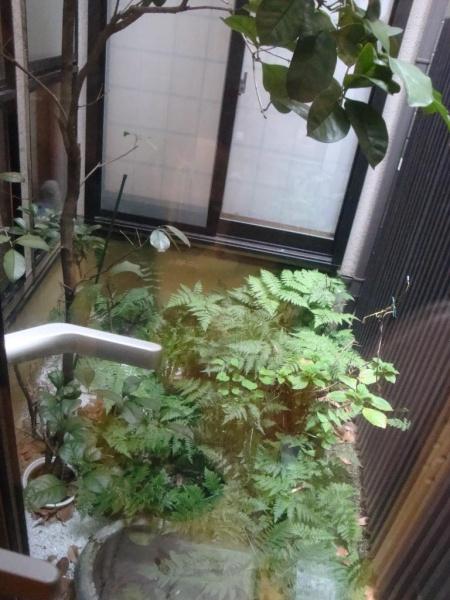 京都市北区上賀茂松本町の中古一戸建て