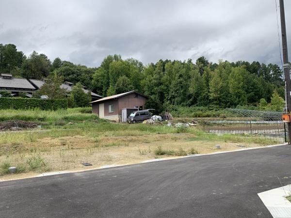 １期５号地