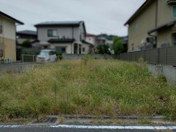 ８期１号地