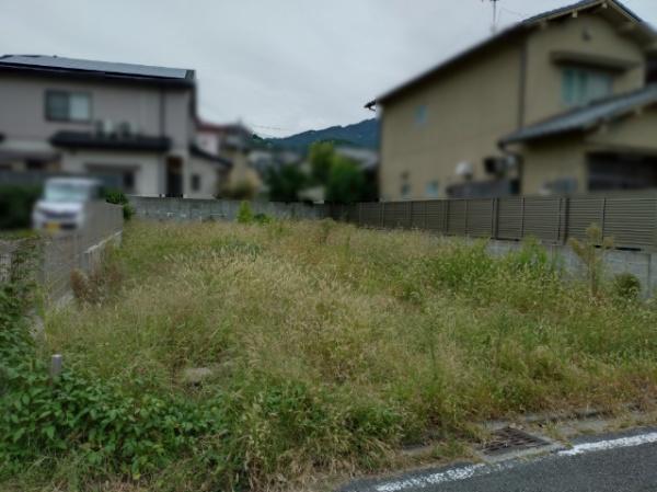 ８期１号地