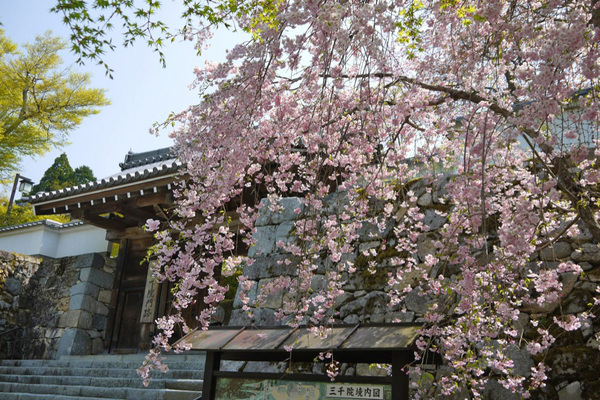 京都市左京区大原勝林院町の中古一戸建て(三千院)
