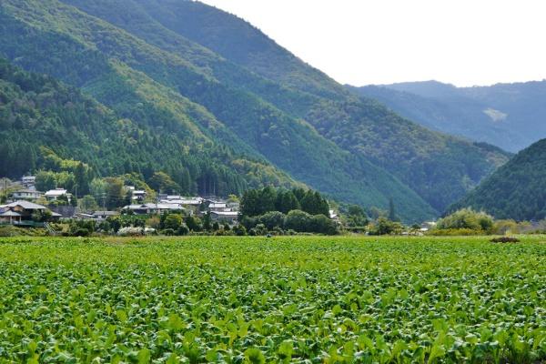 京都市左京区大原戸寺町の中古一戸建て(大原の里)