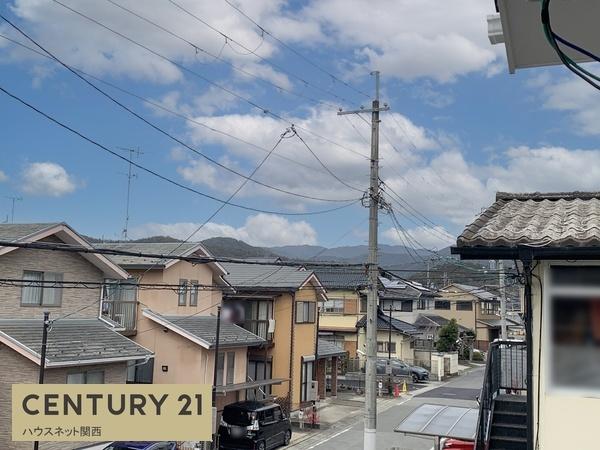 ８期１号地