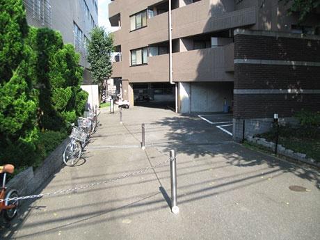 コスモ紫野