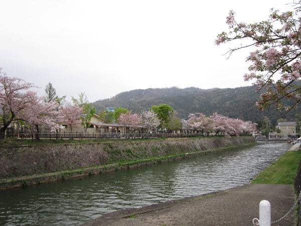 マジェス京都岡崎