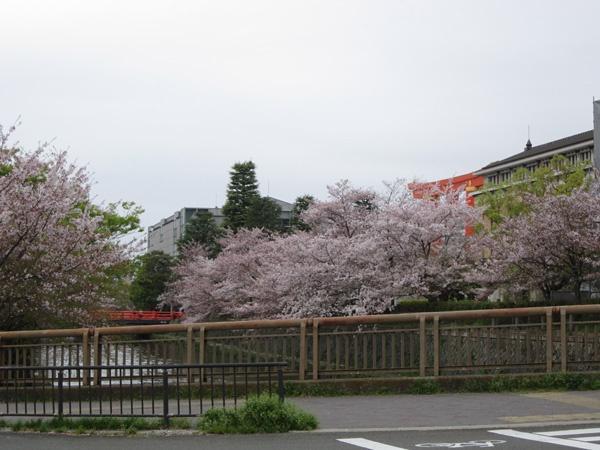 マジェス京都岡崎