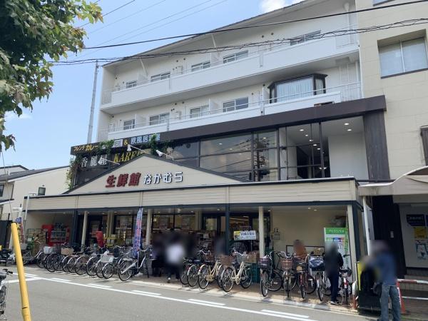 京都市北区紫野宮東町の土地(生鮮館なかむら紫明店)