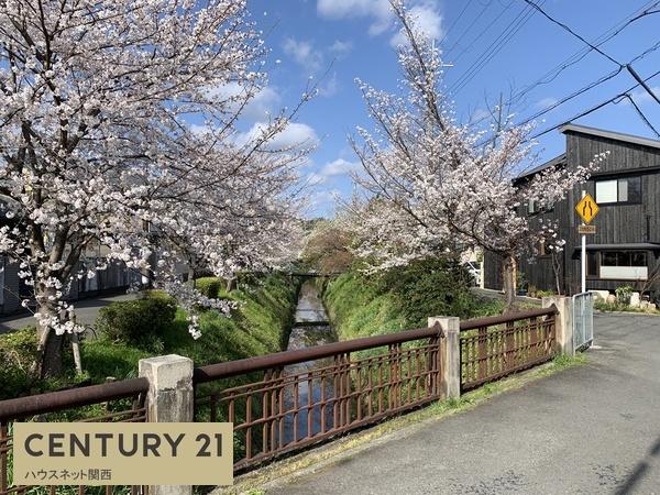 京都市左京区松ケ崎柳井田町の中古一戸建て