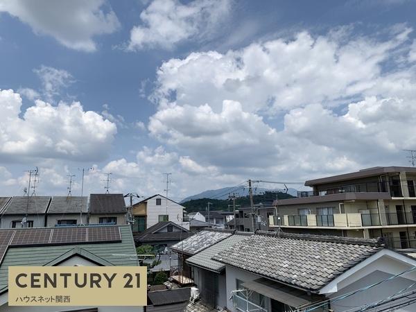 ４号地