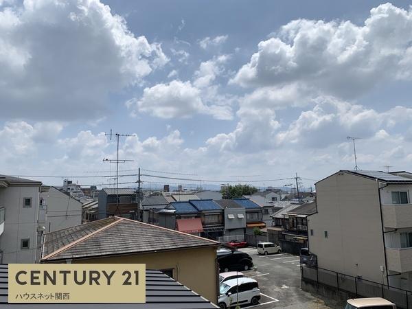 ４号地